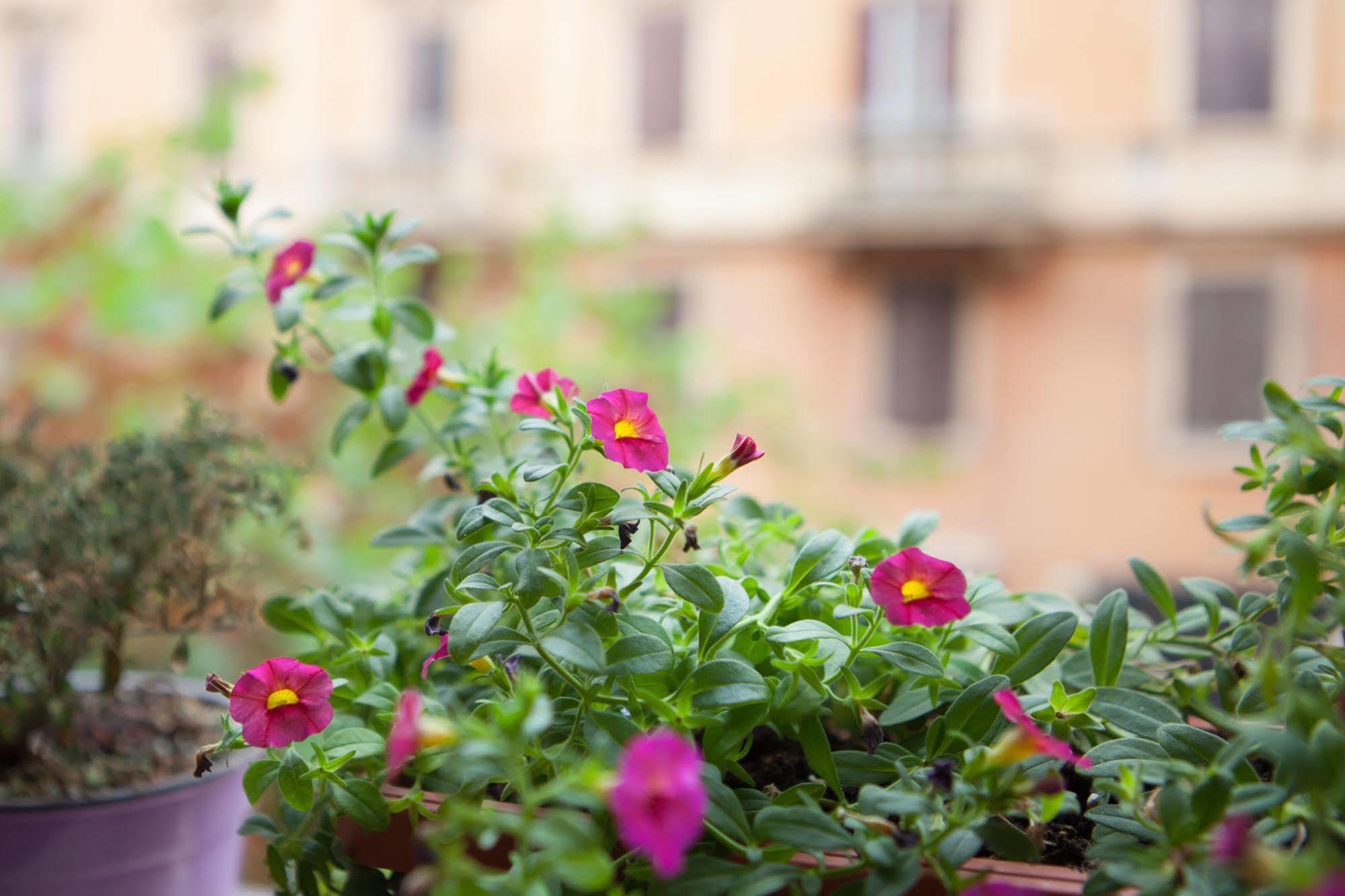 Bed and breakfast Vatican's Keys 3*